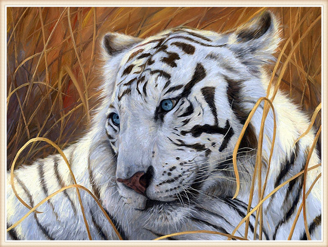 30x40CM tiger 5D Full Diamond Painting DIY Pictures NO FRAME