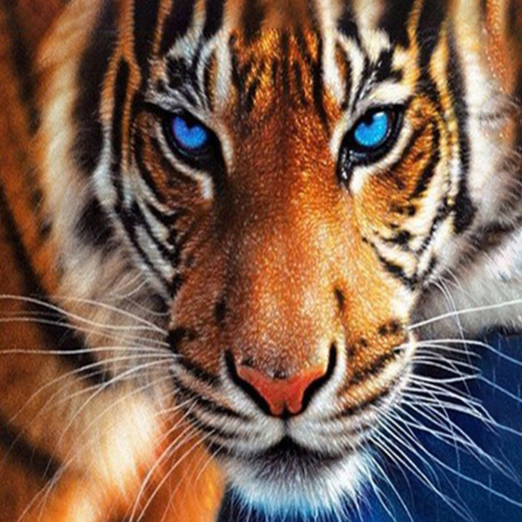 30x40CM tiger 5D Full Diamond Painting DIY Pictures NO FRAME