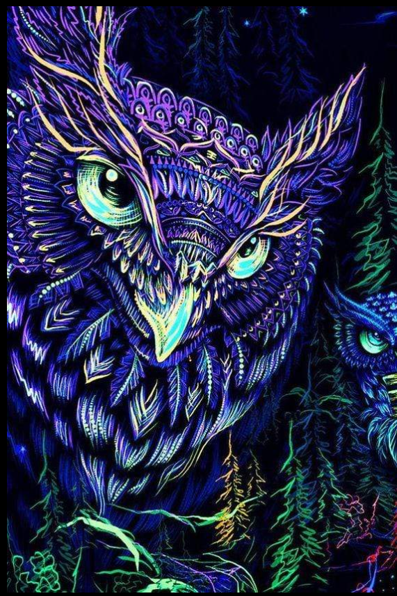 40X30CM Night owl 5d diy diamond painting full drill NO FRAME LD117