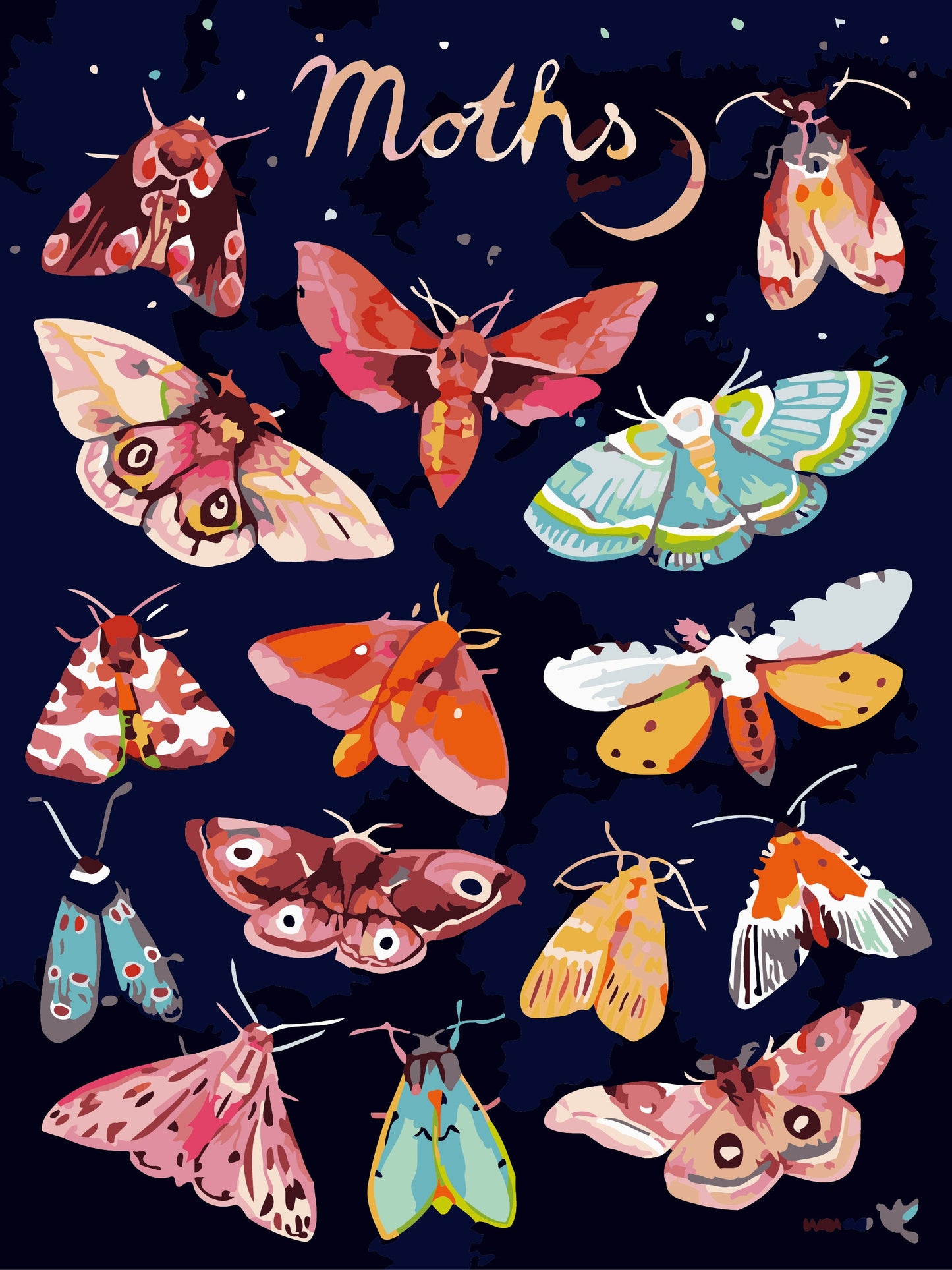 50x70CM - Butterfly DIY 5D full Diamond Painting no frame