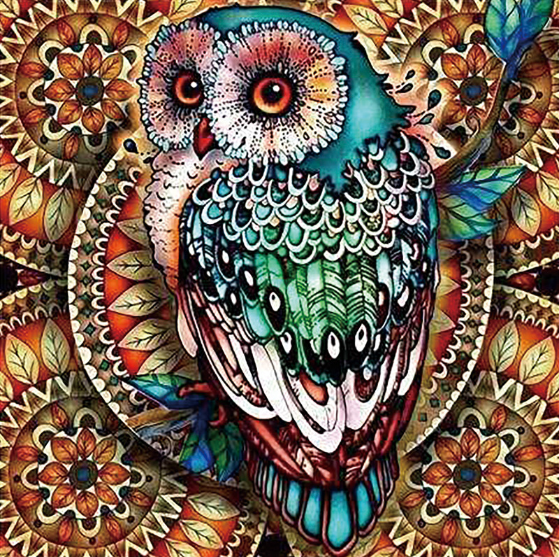 30X30cm Owl 5D Diamond Painting( Special beads)