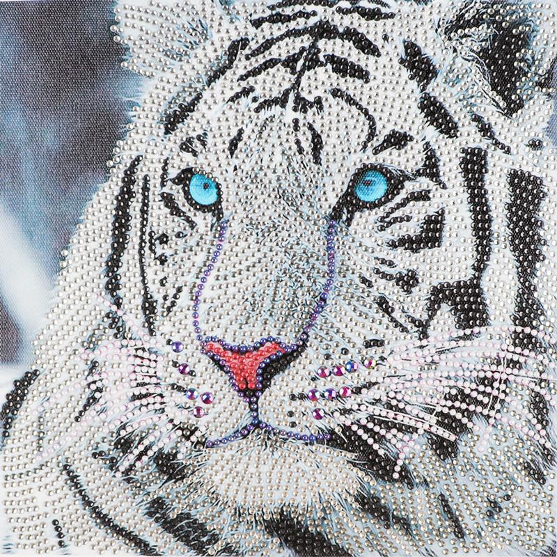 30X40cm Tiger 5D Diamond Painting( Special beads)