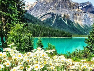 60x45CM Landscape Full Diamond Painting NO Frame Round diamond 05