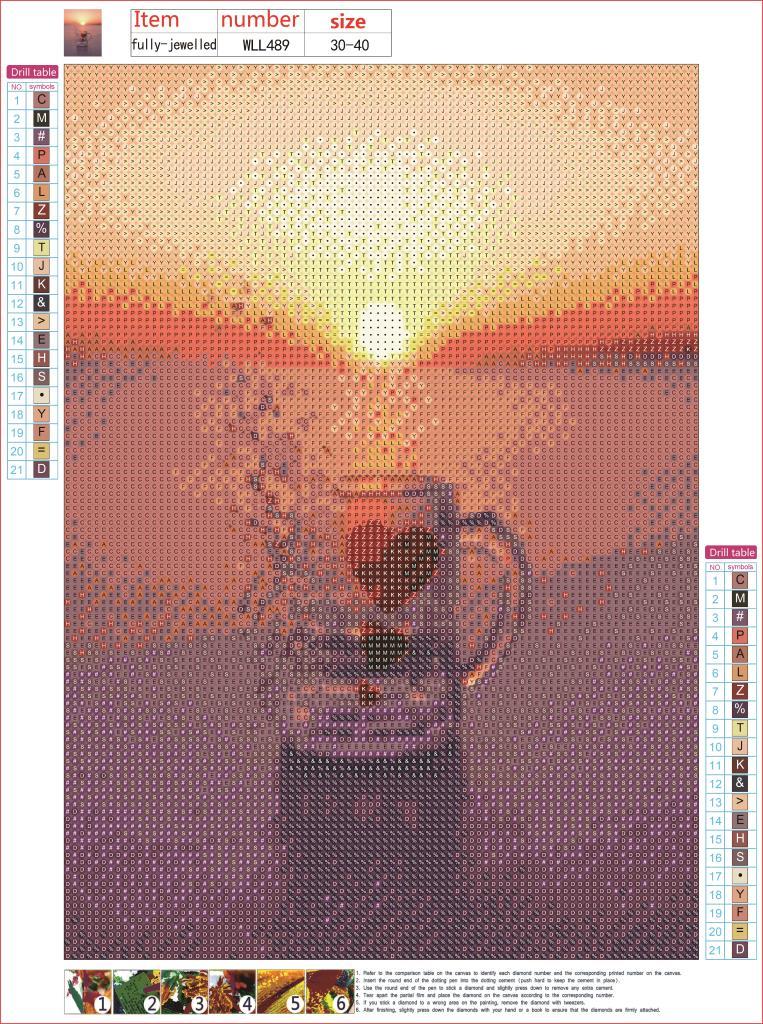 30X40CM-5DFull Diamond Painting DIY Pictures WLL489