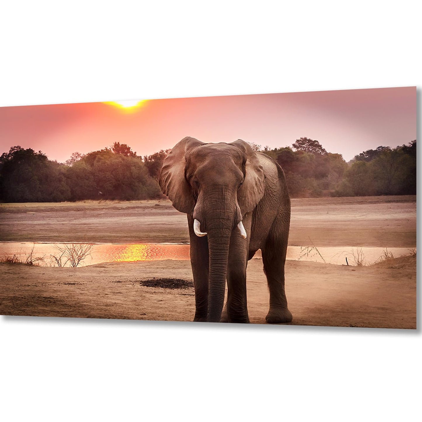 120X60CM - Elephant DIY 5D Full Diamond Painting NO Frame