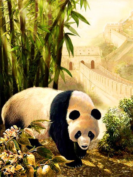 40X50CM Panda DIY Oil Painting By Numbers