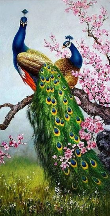 40x70CM-peacock- DIY 5D full Diamond Painting