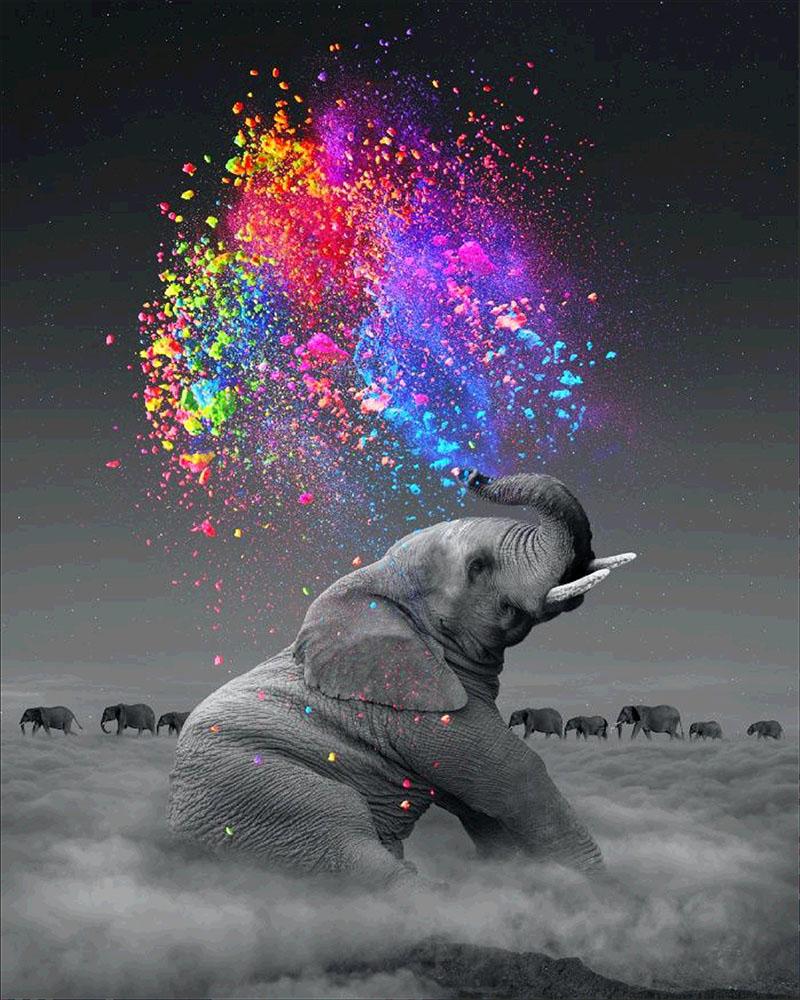 35*50CM-Elephant-5D Full Diamond Painting DIY Pictures A233