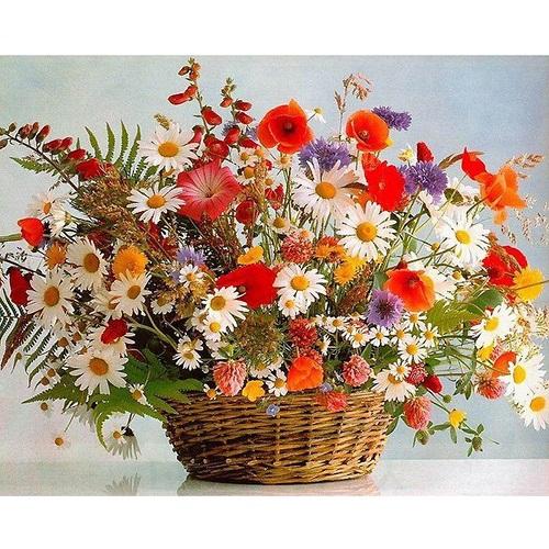 Flower No Framed DIY Oil Painting By Numbers Canvas Wall Art For Living Room Home Decor 40*50CM